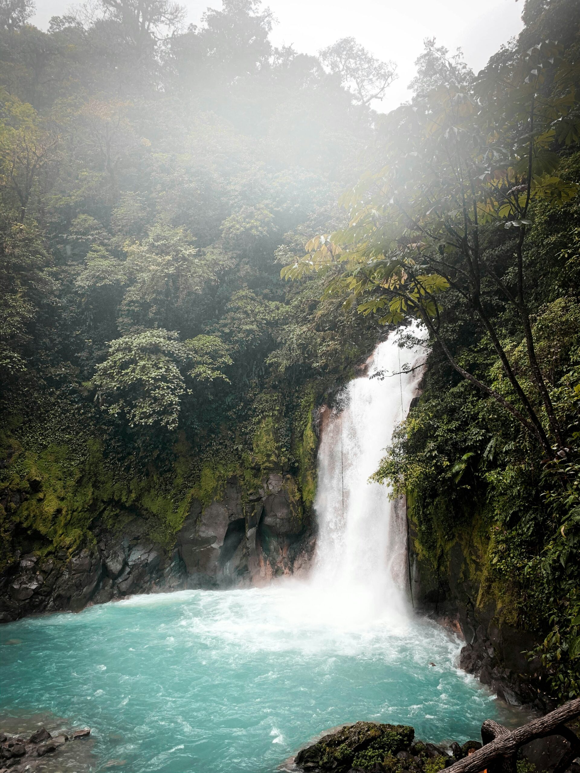 costa rica 8